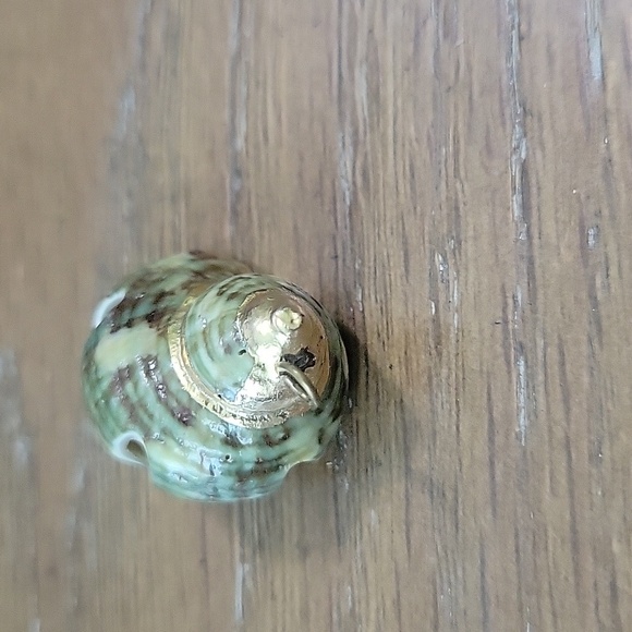 Elegant Gold tone and Green Shell Necklace pendant - Picture 3 of 5